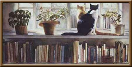 gatti%20e%20libri