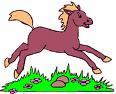 cavallo